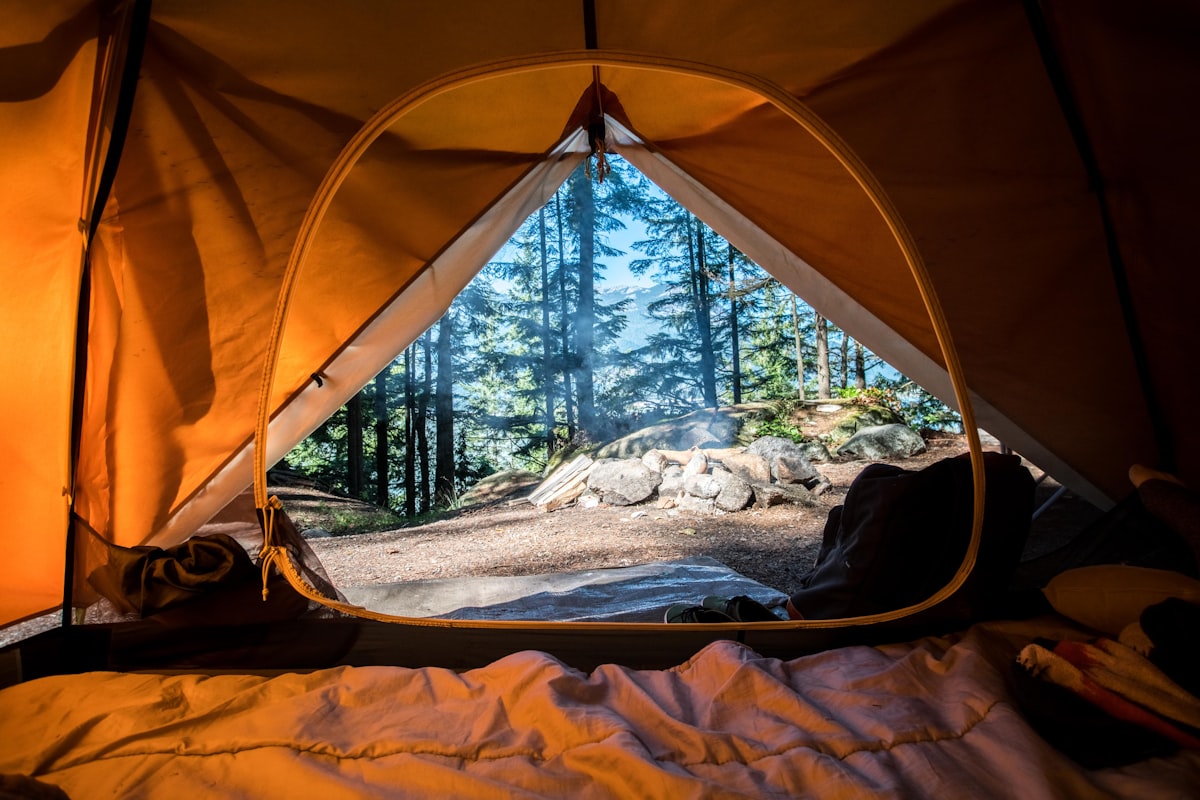 Orange tent with a forest view